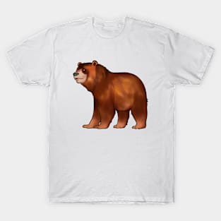 Drawing of a brown bear T-Shirt